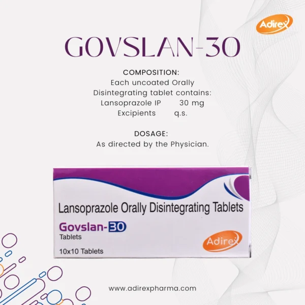 Govslan 30 - Image 3